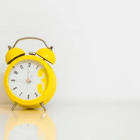 Tres Beau Terrasse Les Pins