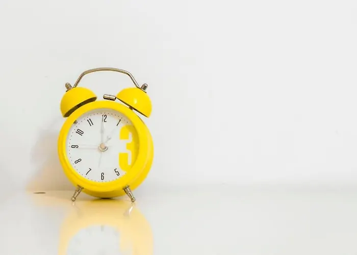 Tres Beau Terrasse Les Pins